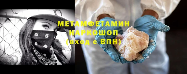 шишки Абаза