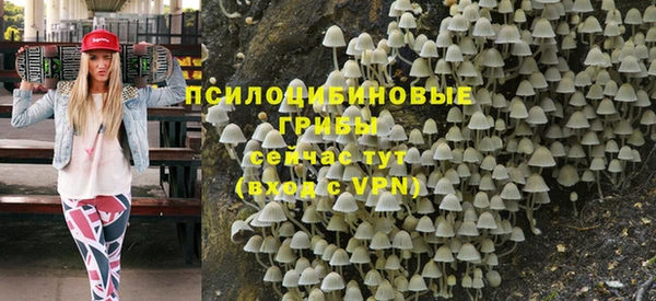 ПСИЛОЦИБИНОВЫЕ ГРИБЫ Алзамай