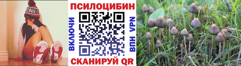 Псилоцибиновые грибы ЛСД где продают Уварово