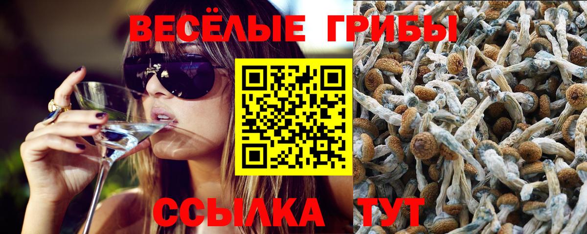Галлюциногенные грибы MAGIC MUSHROOMS Уварово