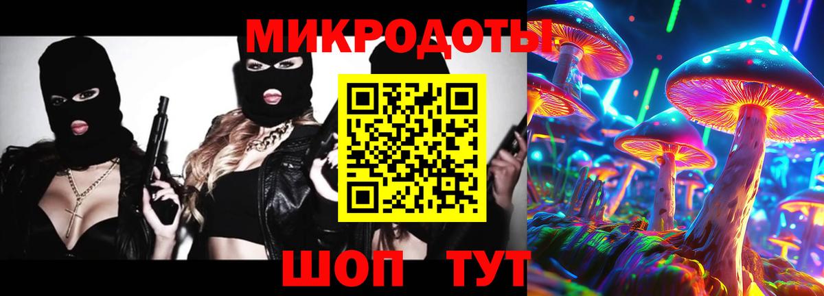 Псилоцибиновые грибы Psilocybe  Вход с VPN  Уварово  Галлюциногенные грибы Psilocybe 